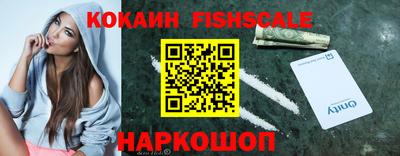 стафф Кингисепп