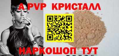 стафф Кингисепп