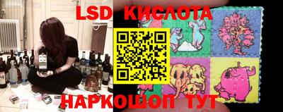 стафф Кингисепп