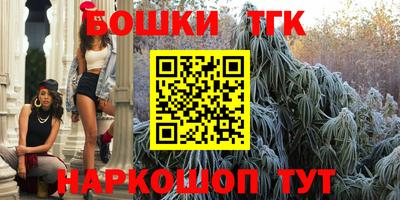 стафф Кингисепп