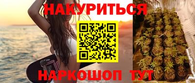 стафф Кингисепп