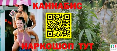 стафф Кингисепп