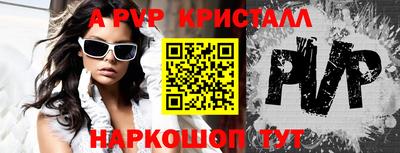 стафф Кингисепп