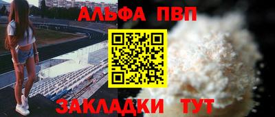 стафф Кингисепп